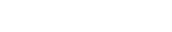 Velasquez asociados